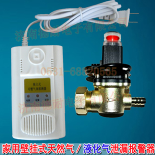 ��(d��)��ʽ��ȼ?x��)��w̽�y(c��)��